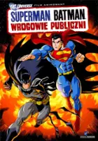 Sam Liu / Superman/Batman: Wrogowie publiczni