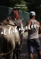 Erdem Helvacioglu / Końskie historie