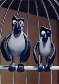 Plakat filmu Les oiseaux en cage ne peuvent pas voler