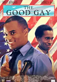 Plakat filmu The Good Gay