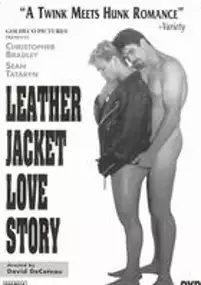 Plakat filmu Leather Jacket Love Story