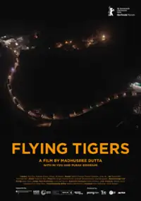 Plakat filmu Flying Tigers