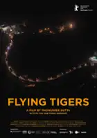 plakat filmu Flying Tigers