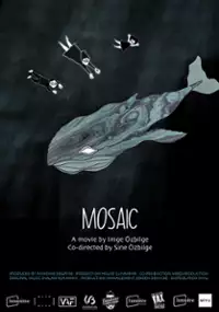 Plakat filmu Mosaic