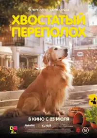 Plakat filmu Dogeudeijeu