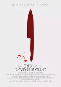 Plakat filmu The Enigma of David Ellingham