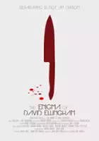 Justin Fraker / The Enigma of David Ellingham
