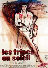 Plakat filmu Les Tripes au soleil