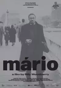 Plakat filmu Mário