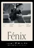 plakat filmu Feniks