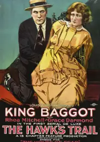 Plakat filmu The Hawk's Trail