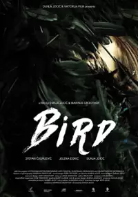 Plakat filmu Bird