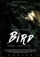Slobodan Jocic / Bird