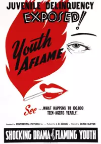 Plakat filmu Youth Aflame