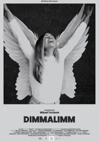 Plakat filmu Dimmalimm