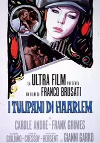 Plakat filmu I tulipani di Haarlem