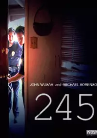 Plakat filmu 245