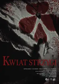 Plakat filmu Kwiat strzygi