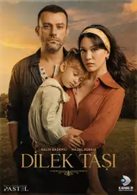 Plakat serialu Dilek Taşı