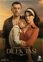 plakat serialu Dilek Taşı