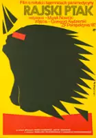 Katarzyna Miernicka / Rajski ptak