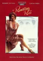 plakat filmu Historia Rose