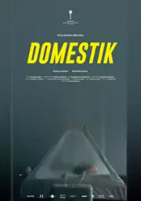Plakat filmu Domownik