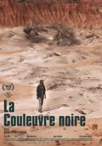 Plakat filmu La couleuvre noire