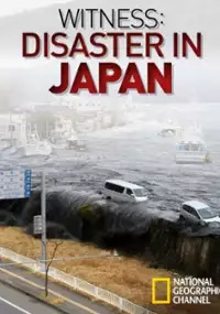 Plakat filmu Kataklizm w Japonii oczami świadków