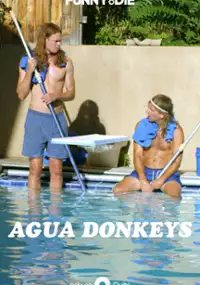 Plakat serialu Agua Donkeys