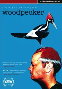 Plakat filmu Woodpecker