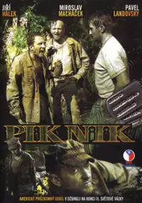 Plakat filmu Piknik (I)