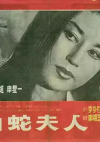 Plakat filmu Baeksa buin