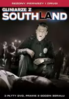 plakat filmu Gliniarze z Southland