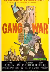 Plakat filmu Gang War