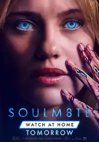 Plakat filmu Soulm8te