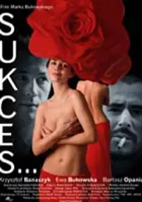 Plakat filmu Sukces