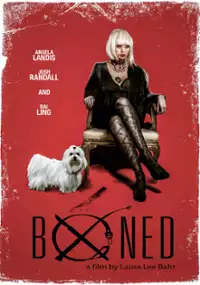 Plakat filmu Domina