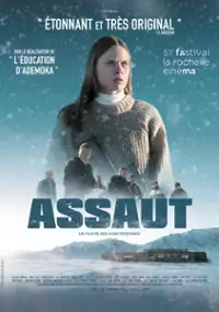 Plakat filmu Shturm