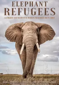 Plakat filmu Elephant Refugees