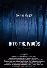 Plakat filmu Into the Woods