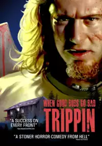Plakat filmu Trippin'