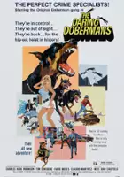 plakat filmu The Daring Dobermans