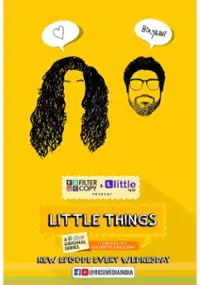 Plakat serialu Little Things