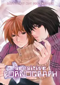 Plakat filmu Sensitive Pornograph