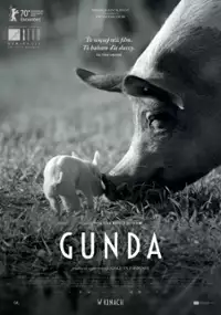 Plakat filmu Gunda