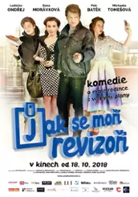Plakat filmu Jak se moří revizoři
