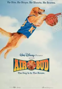 Plakat filmu Koszykarz Buddy