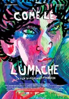 Chiara Dainese / Come le lumache