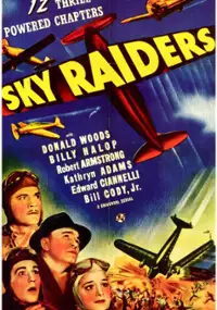 Plakat filmu Sky Raiders